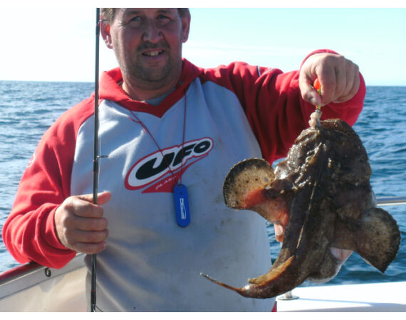 Ierland, Donegal zeevissen