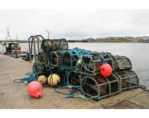 Ierland, Donegal zeevissen