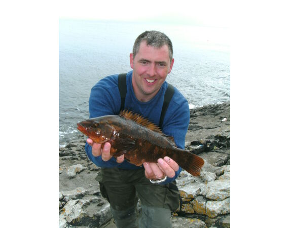 Ierland, Donegal zeevissen