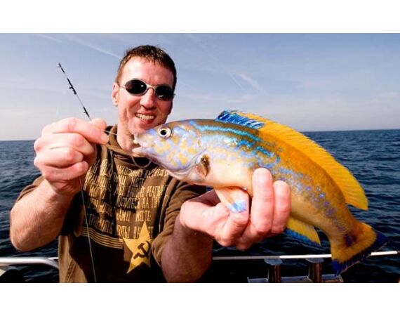 Ierland, Donegal zeevissen