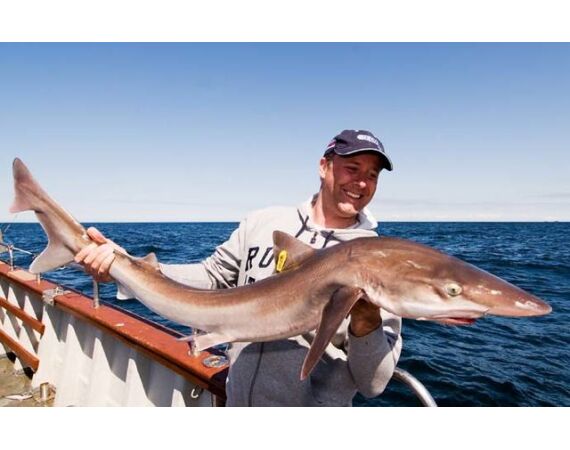 Ierland, Donegal zeevissen