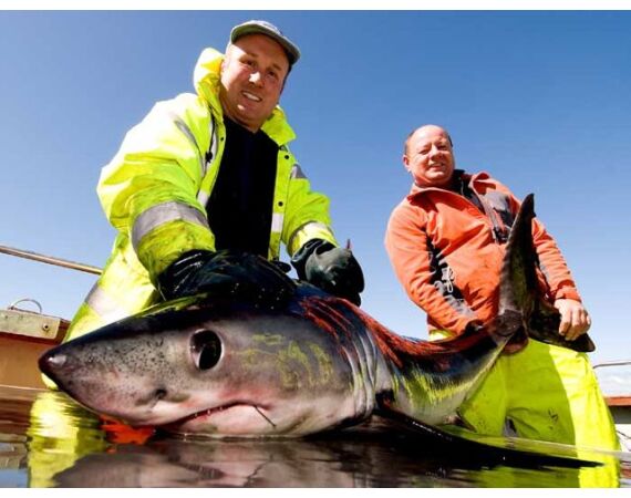 Ierland, Donegal zeevissen