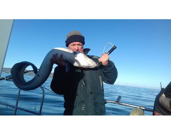 Noord Ierland, Port Rush