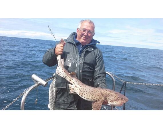 Noord Ierland, Port Rush