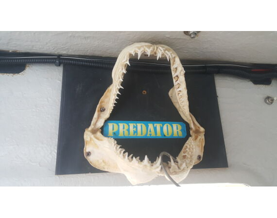 Noord Ierland, Port Rush