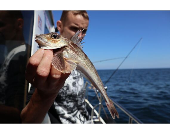 Noord Ierland, Port Rush