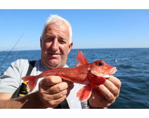 Noord Ierland, Port Rush