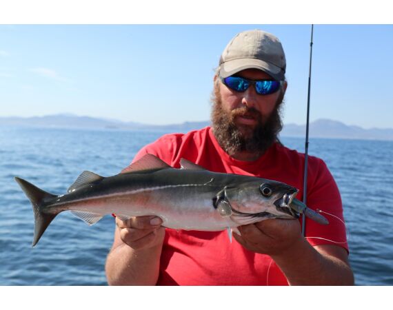 Noord Ierland, Port Rush