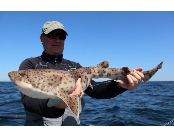 Noord Ierland, Port Rush