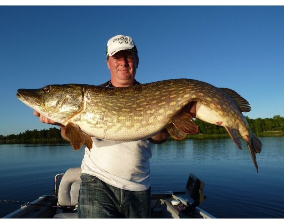 Vader zoon Roofvis week in zuid Zweden