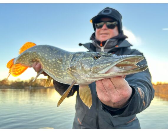 Vader zoon Roofvis week in zuid Zweden