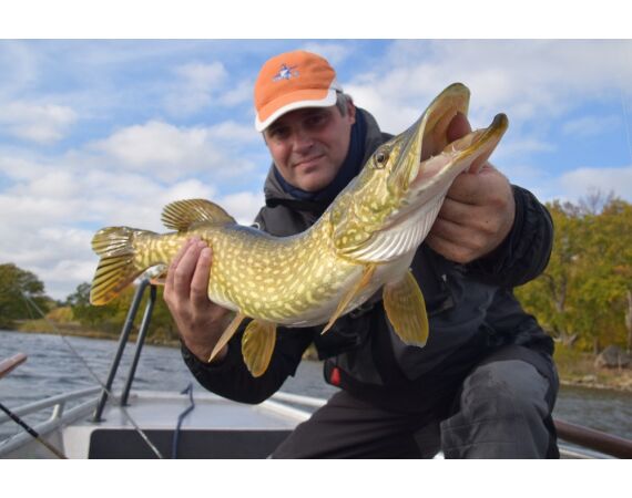 Vader zoon Roofvis week in zuid Zweden