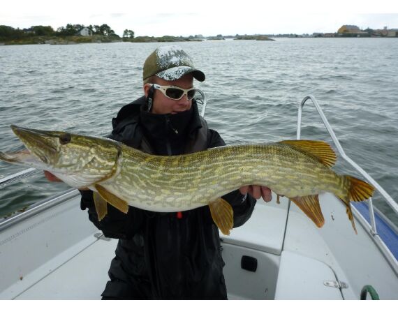 Vader zoon Roofvis week in zuid Zweden