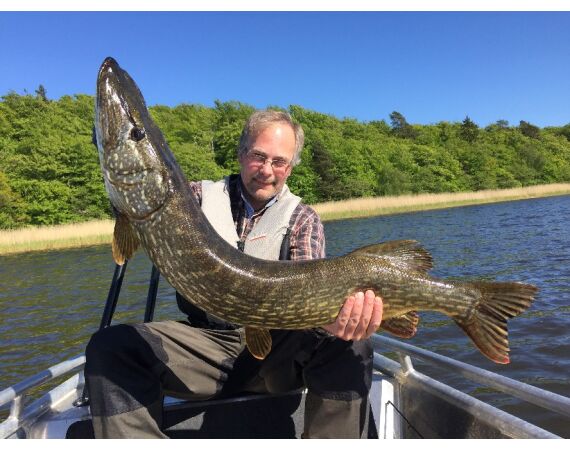 Vader zoon Roofvis week in zuid Zweden