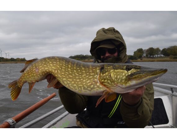 Vader zoon Roofvis week in zuid Zweden