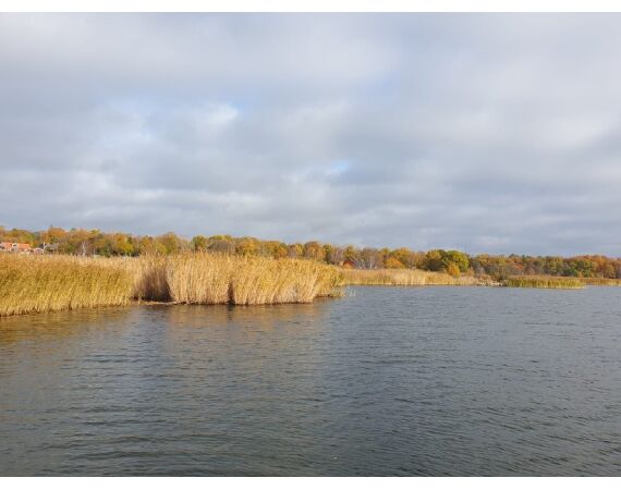 Vader zoon Roofvis week in zuid Zweden