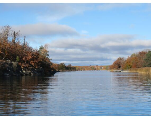 Vader zoon Roofvis week in zuid Zweden