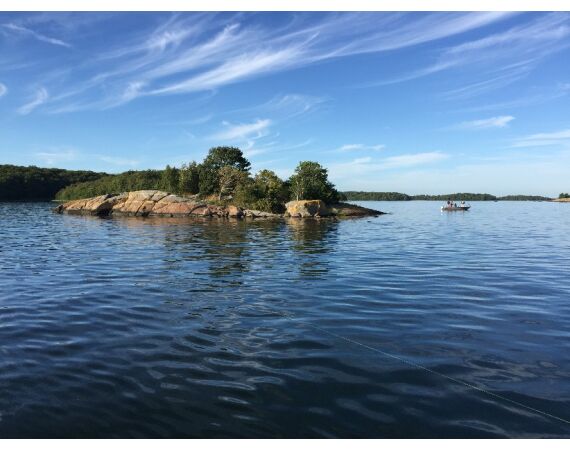 Vader zoon Roofvis week in zuid Zweden