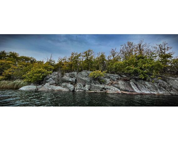 Vader zoon Roofvis week in zuid Zweden