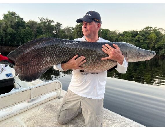 Arapaima Bolivia