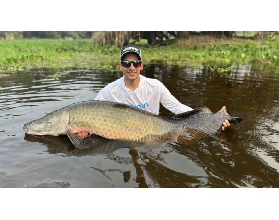 Arapaima Bolivia