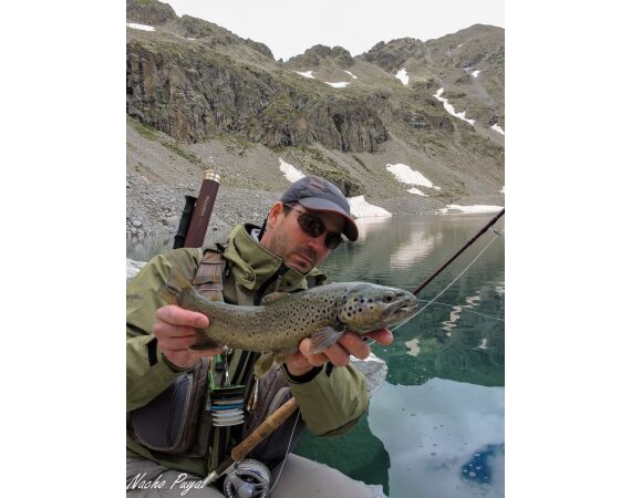 Op de top van de Pyreneeën