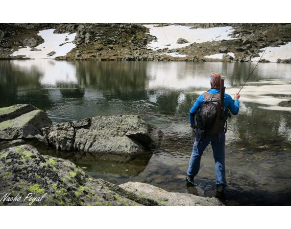 Op de top van de Pyreneeën