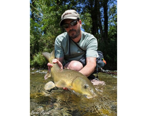 Pyreneeën van oost naar west