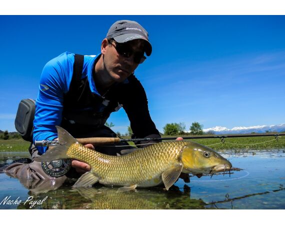 Pyreneeën van oost naar west