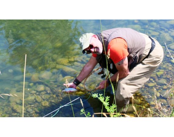 Pyreneeën van oost naar west
