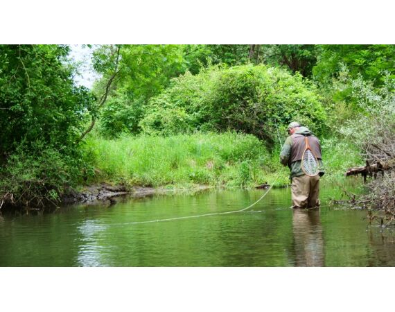 Pyreneeën van oost naar west