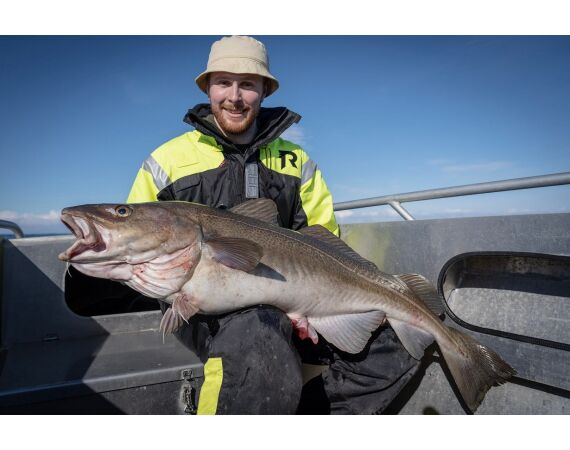 Hemmingodden Nappstraumen