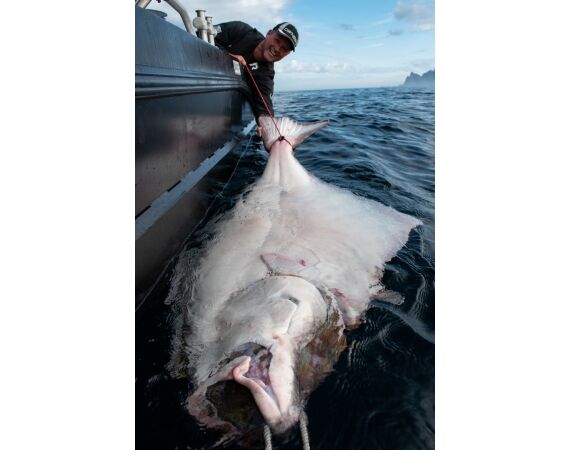 Hemmingodden Nappstraumen