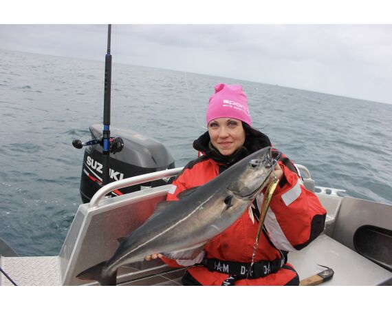 Hemmingodden Nappstraumen