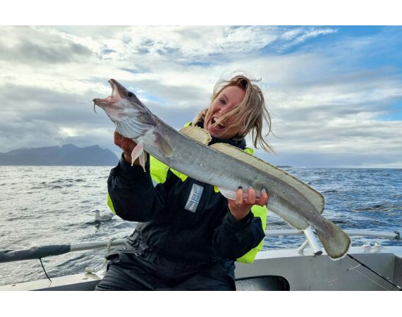 Hemmingodden Nappstraumen