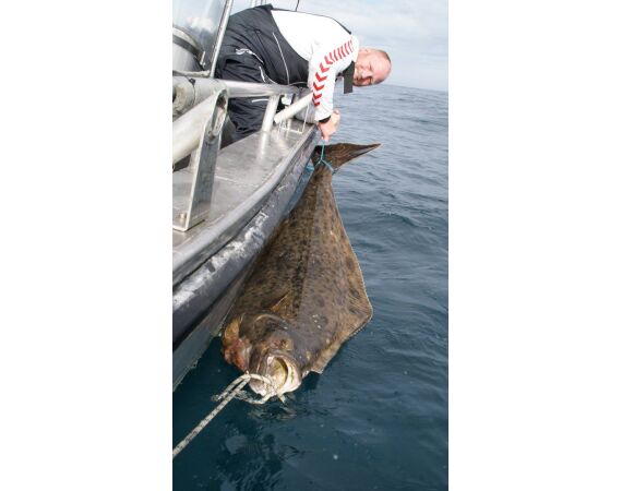 Havoysund Arronet boot