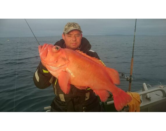 Havoysund Arronet boot