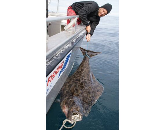 Havoysund Arronet boot