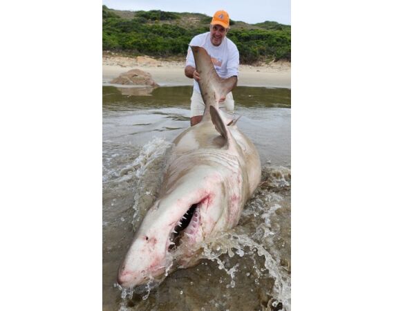 Zuid Afrika Mosselbaai