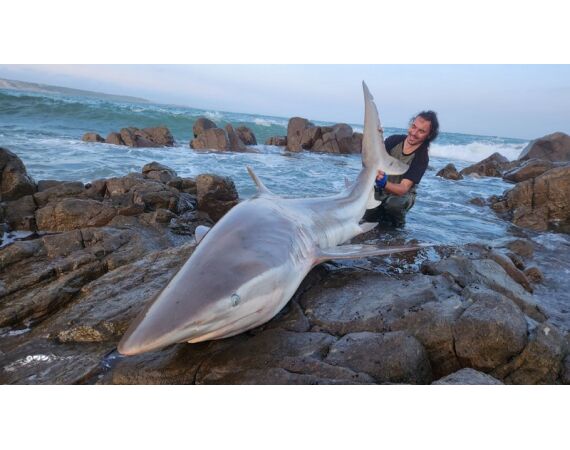 Zuid Afrika Mosselbaai