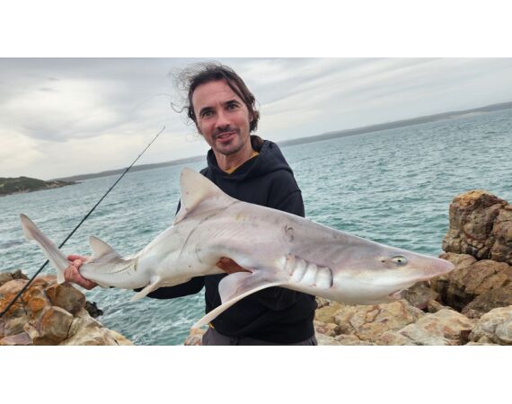 Zuid Afrika Mosselbaai