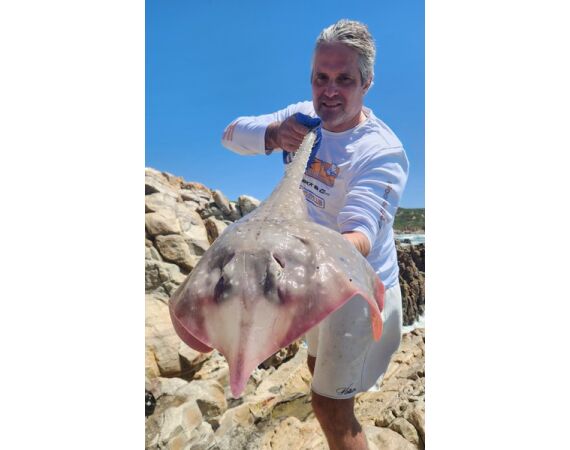 Zuid Afrika Mosselbaai