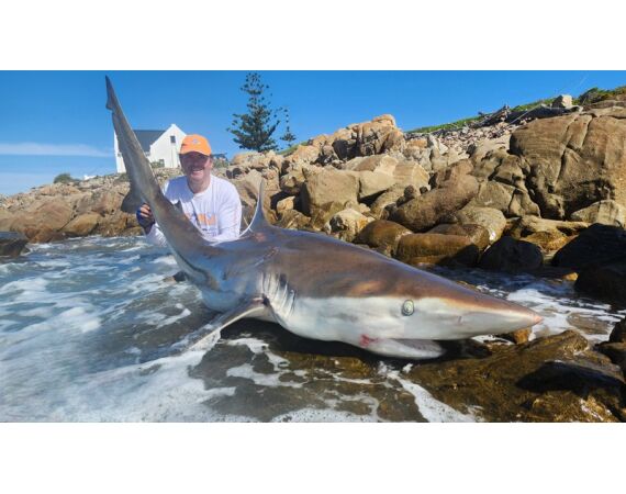 Zuid Afrika Mosselbaai