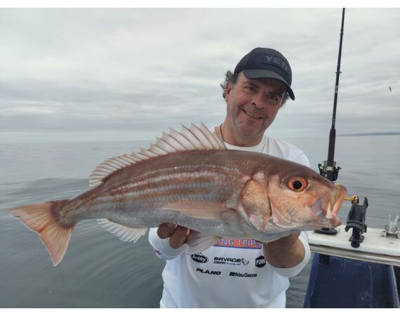Zuid Afrika Mosselbaai