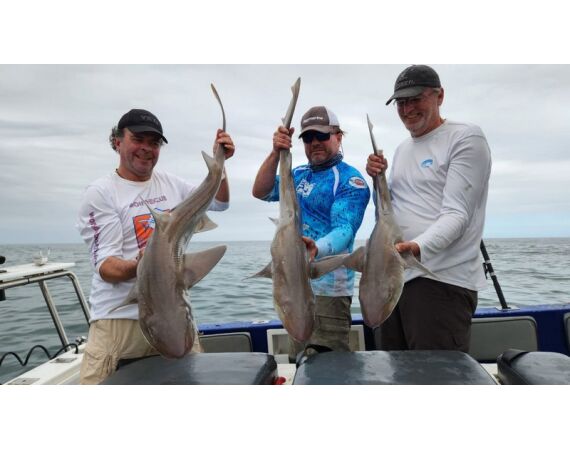 Zuid Afrika Mosselbaai