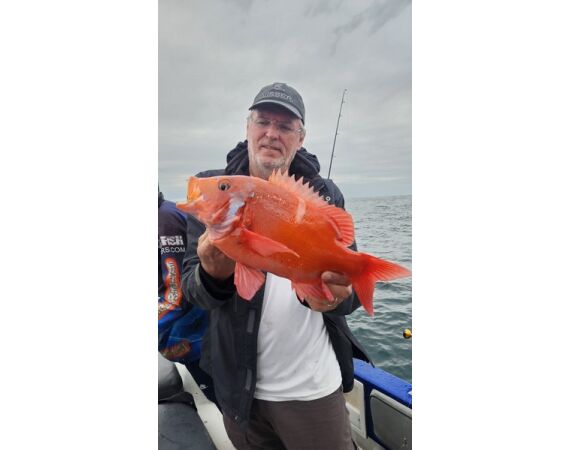 Zuid Afrika Mosselbaai