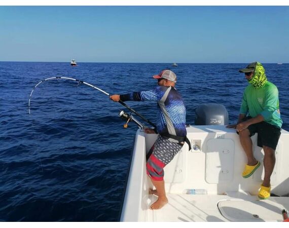 Spanje Blauwvintonijn