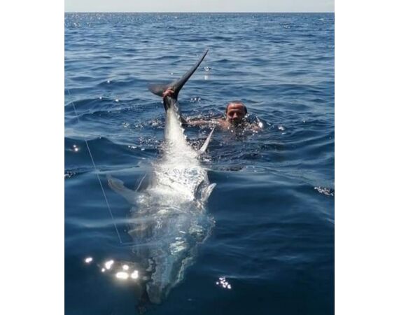 Spanje Blauwvintonijn