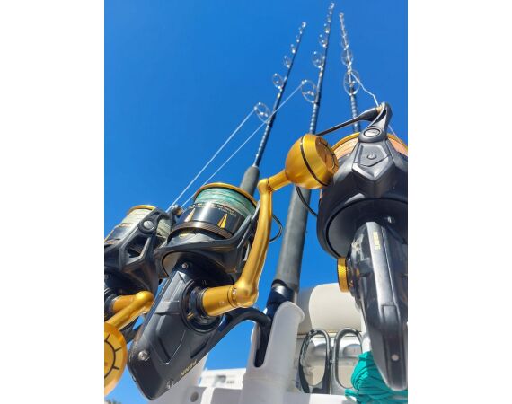 Spanje Blauwvintonijn