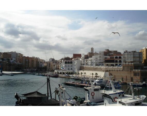 Spanje Blauwvintonijn